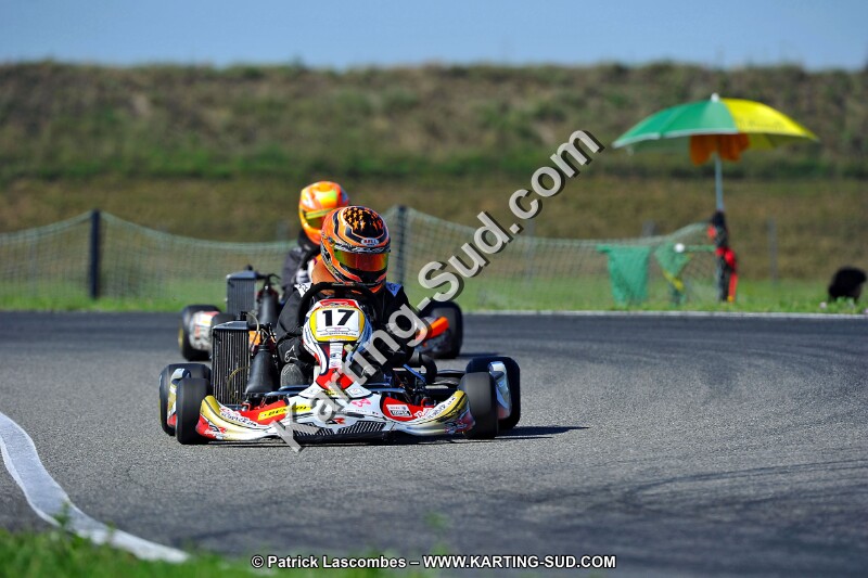 DSC_ (1640).jpg